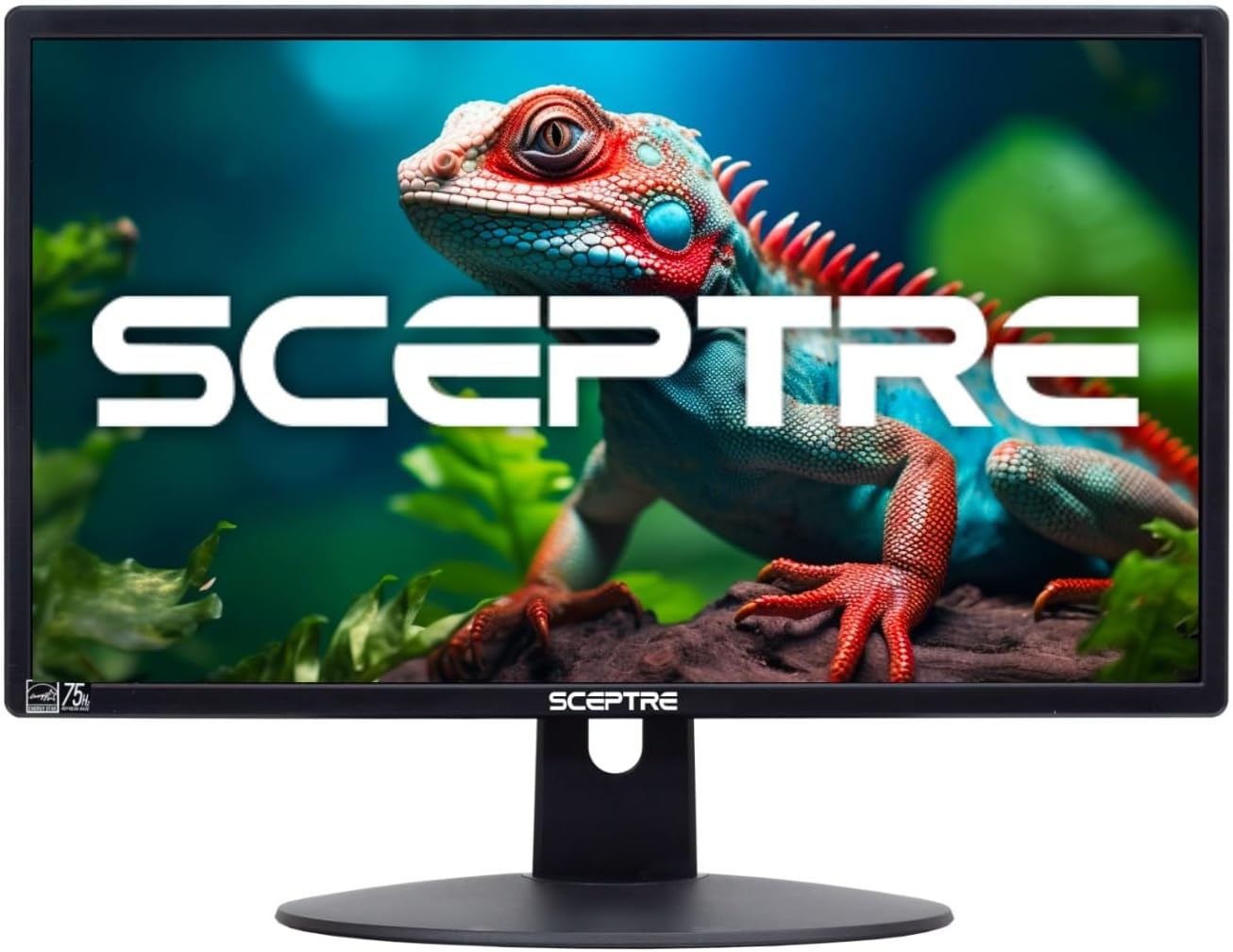 Sceptre 20" 1600x900 75Hz Ultra Thin LED Monitor 2x HDMI VGA Built-in Speakers, Machine Black Wide Viewing Angle 170° (Horizontal) / 160° (Vertical)